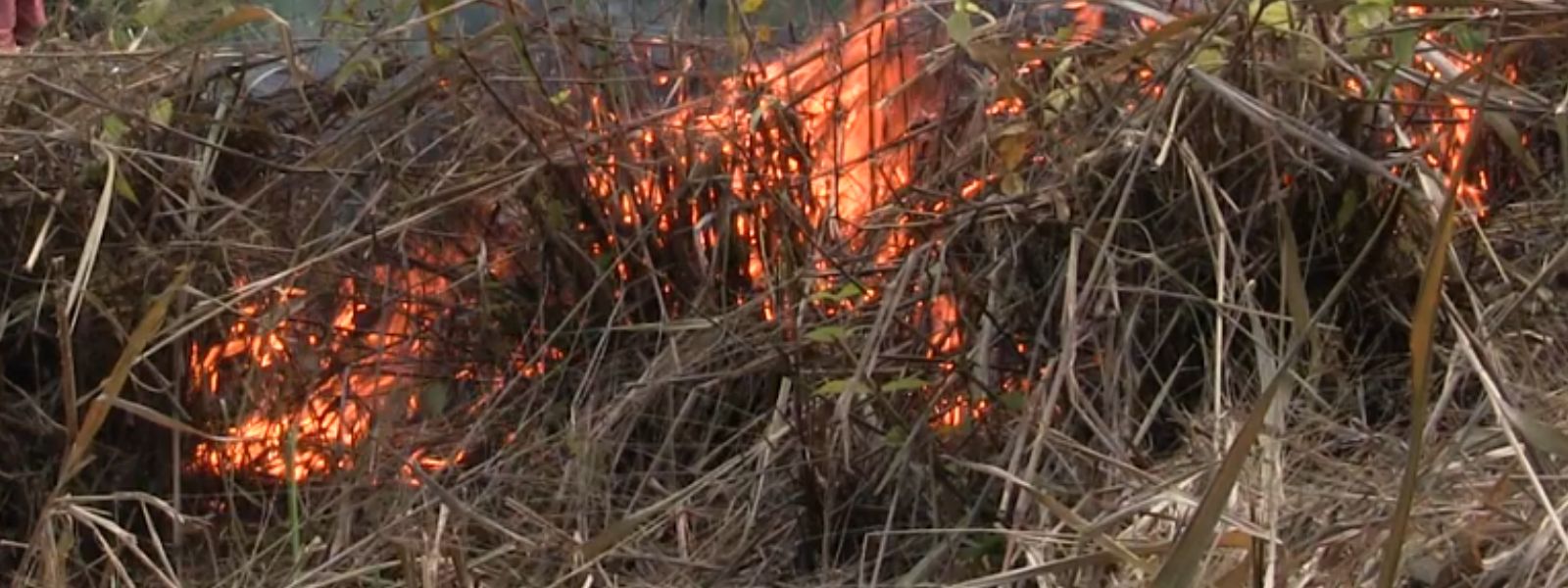 Fire Erupts In Hanthana Forest Reserve